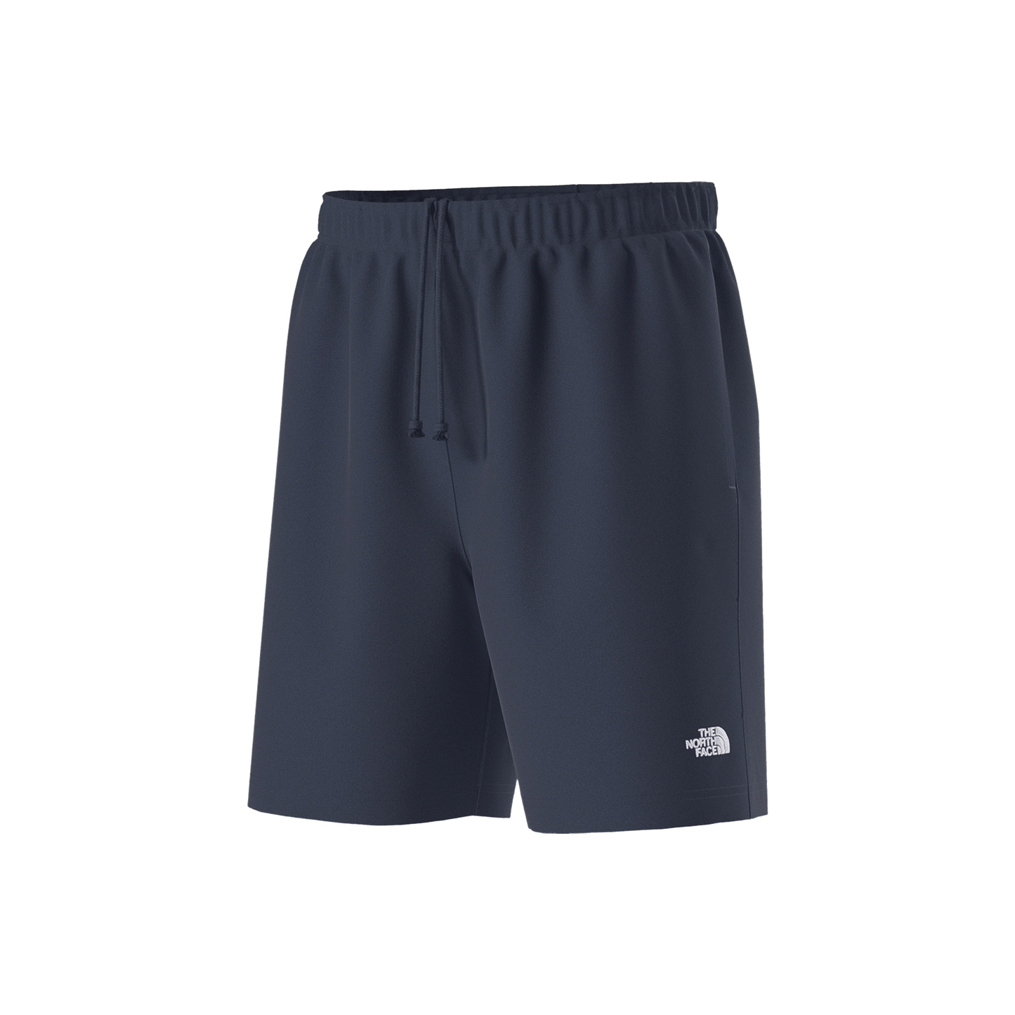 The North Face Men’s Evolution Simple Dome Regular Shorts