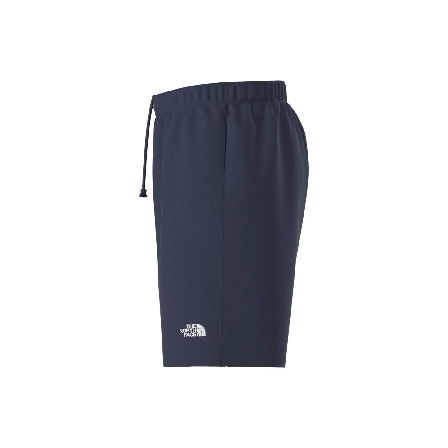 The North Face Men’s Evolution Simple Dome Regular Shorts