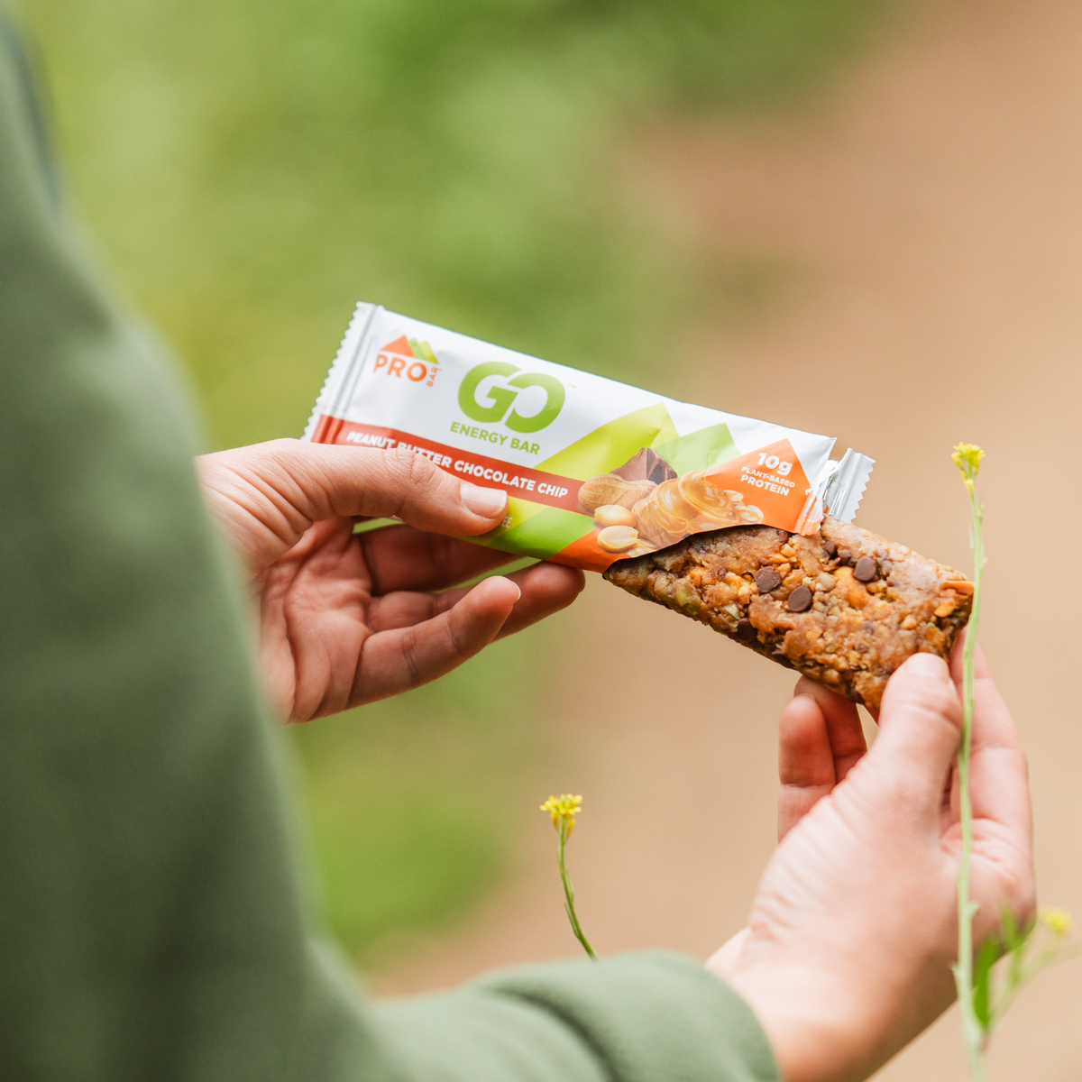ProBar Go Energy Bars
