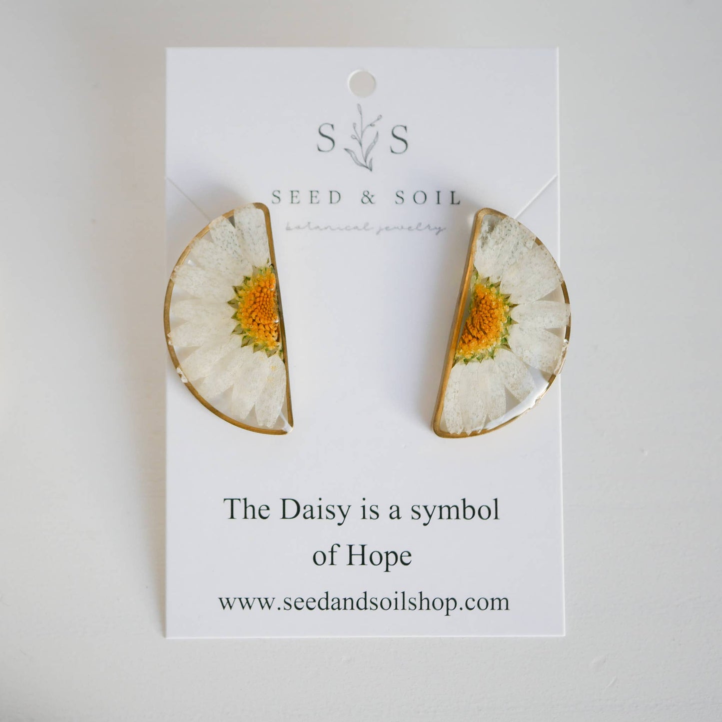 Oval Studs