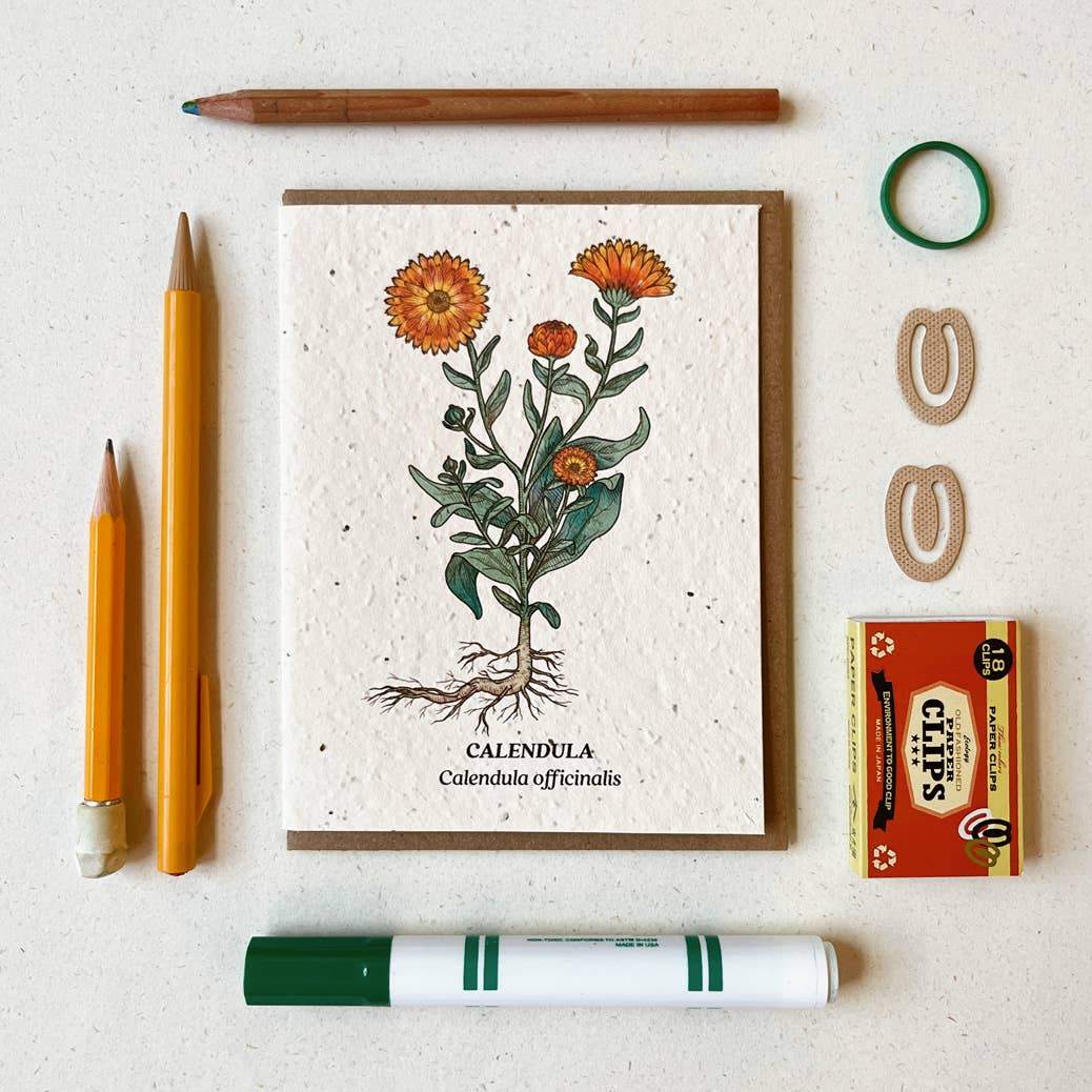 a plantable card depicting a calendula flower surrounded by pencils and markers