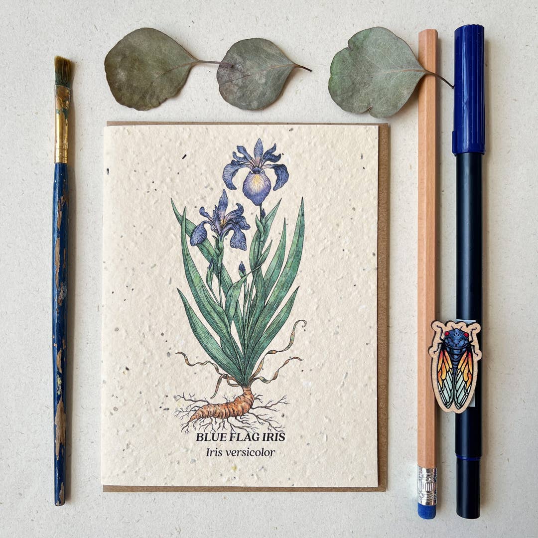 A plantable card depicting Blue Flag Iris flowers next to a paintbrush and pens