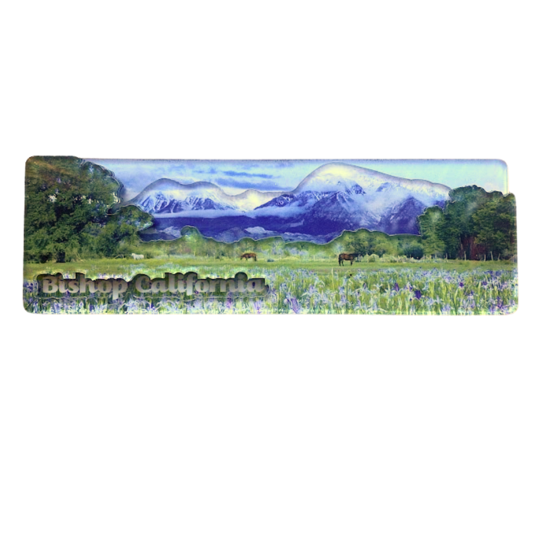 Bishop California Landscape Magnet