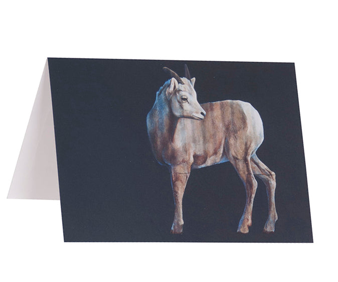 Migrating Mural Greeting Cards 5-Card Set