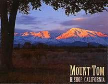 Mount Tom Magnet