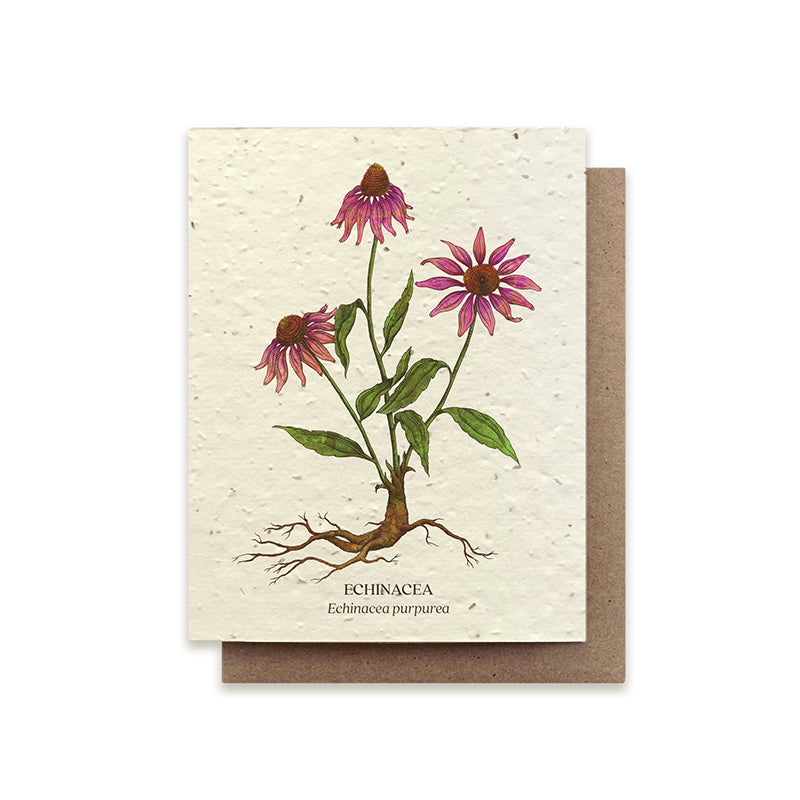 The Bower Studio Echinacea Plantable Wildflower Card