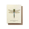 The Bower Studio Green Darner Dragonfly Plantable Wildflower Card