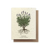 The Bower Studio Lavender Plantable Wildflower Card
