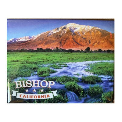 Bishop California Magnet with Mt. Tom in the background